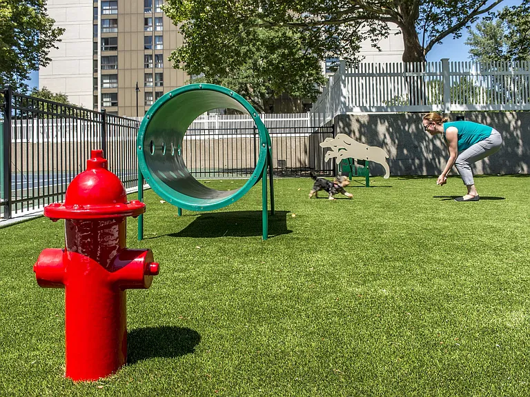 Dog Park