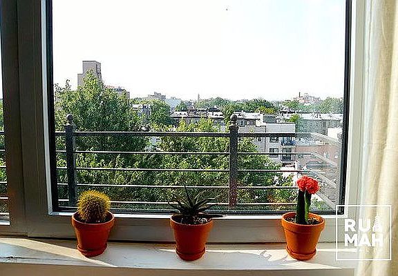 5th image of 812 Myrtle Ave #3