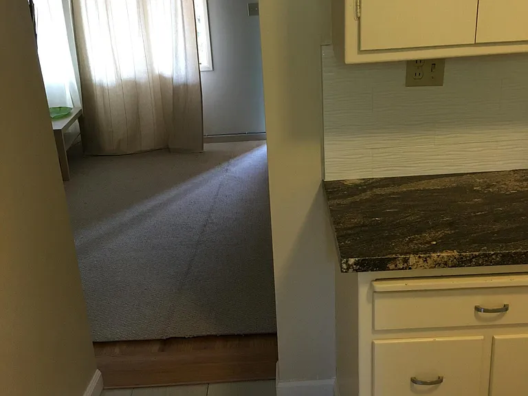 Kitchen to living room