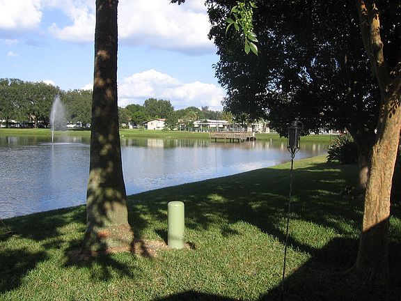View from back porch