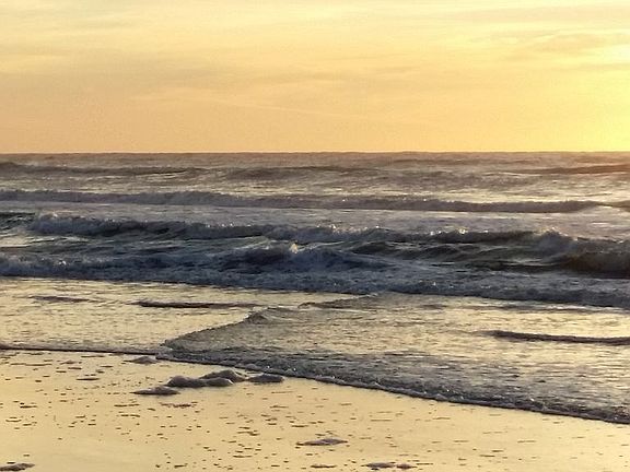 Dip in Ocean or Boogie Board