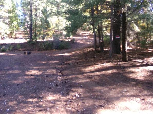 Tcz McAdams Ck Rd, Fort Jones, CA 96032