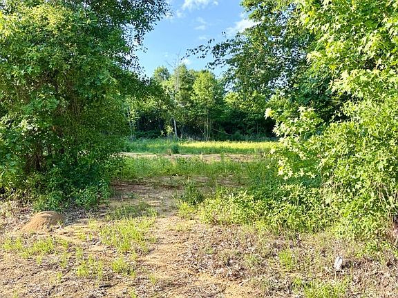 3rd image of 499 County Road 136