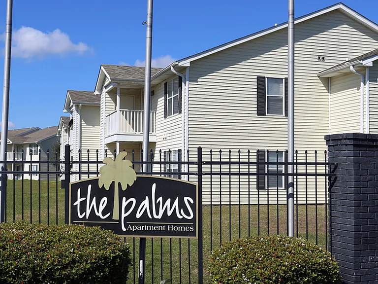 The Palms — Photo 9