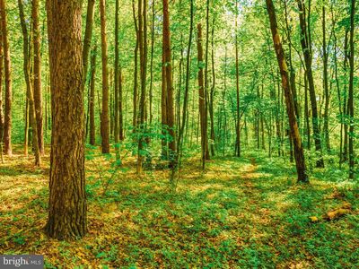 N Lake Dr, Mechanicsville, MD, 20659