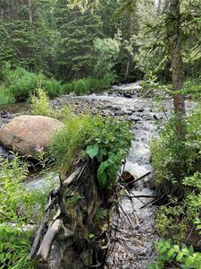 980 Rainbow Road Lot 24, Idaho Springs, CO, 80452