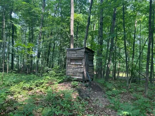 4538 Madison Rd, Barryton, MI 49305