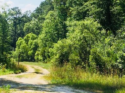 0 Canaan Rd, Ridgeville, SC, 29472