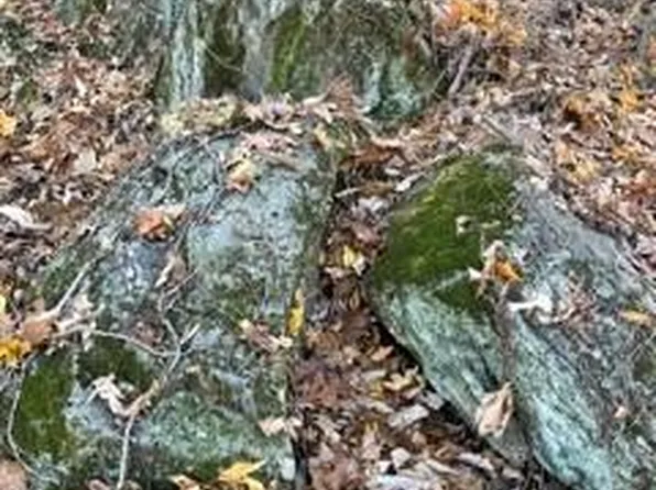 103 Avalon Gap Trl, Waynesville, NC 28785