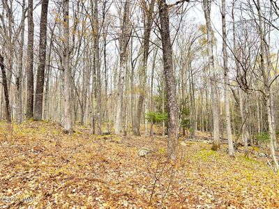 767 Tinkwig Dr, Hawley, PA, 18428