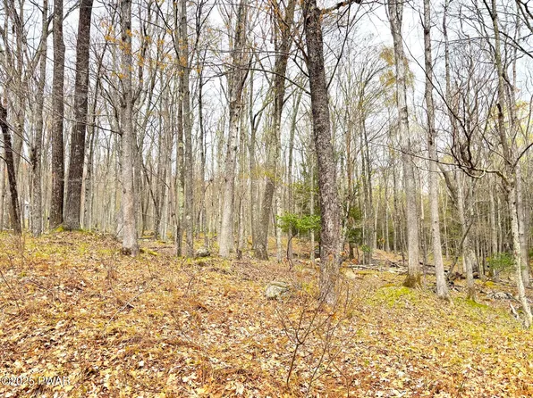 767 Tinkwig Dr, Hawley, PA 18428
