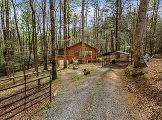 159 Pack Creek Rd, Blue Ridge, GA 30513