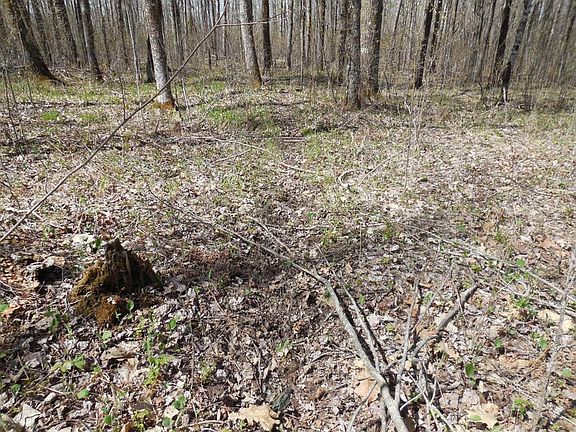3rd image of Xxx Tower Road Silver Twp
