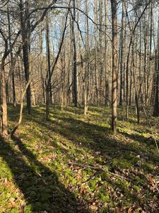 1064 Frontage Rd, Russell Springs, KY, 42642