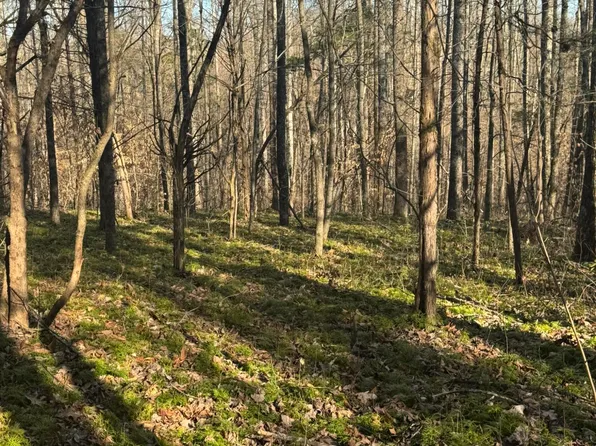 1064 Frontage Rd, Russell Springs, KY 42642