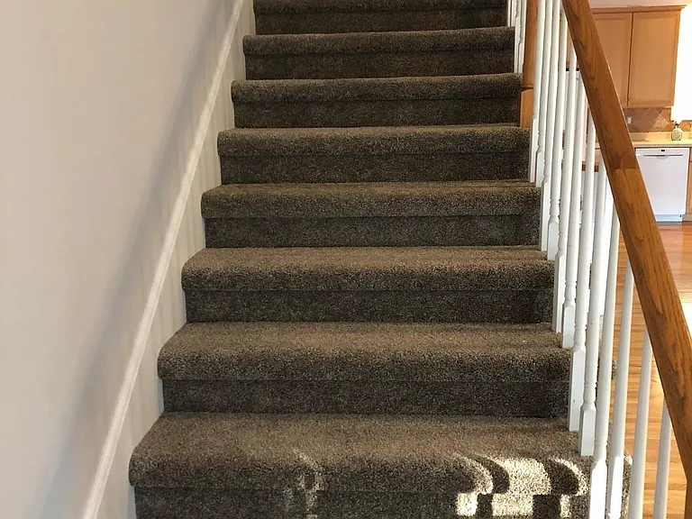 Newly Carpeted Stairs