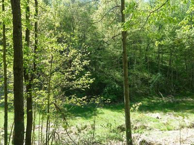 213 Teal Queen Rd, Buckhannon, WV, 26201
