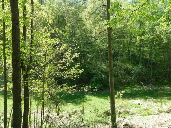 213 Teal Queen Rd, Buckhannon, WV 26201