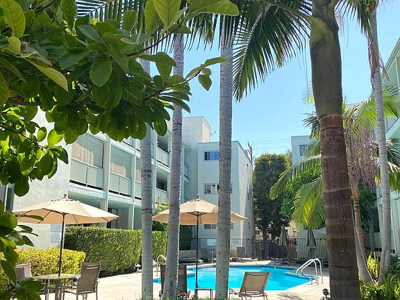 STANDING VANTAGE POINT FROM JACUZZI OF LUSH COURTYARD