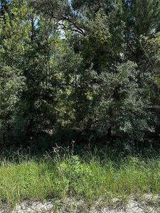 Xx Se Place Lot 9 #21, Williston FL - Owner Finance Home