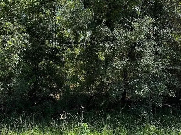 Xx Se Place Lot 9 #21, Williston, FL 32696