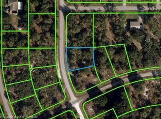 841 Amaranth St, Lake Placid, FL 33852