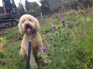 804 Bell St, Edmonds, WA 98020