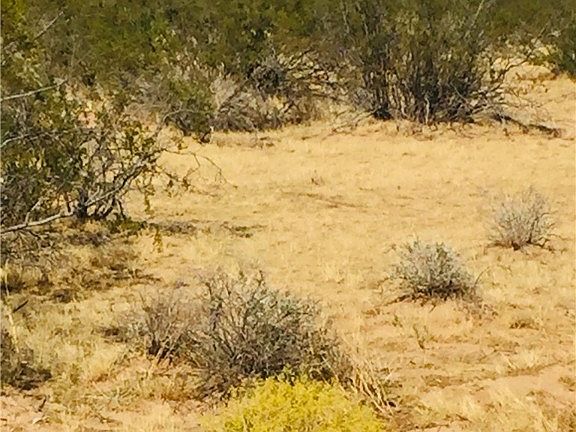 3rd image of 069 E Mesquite Drive
