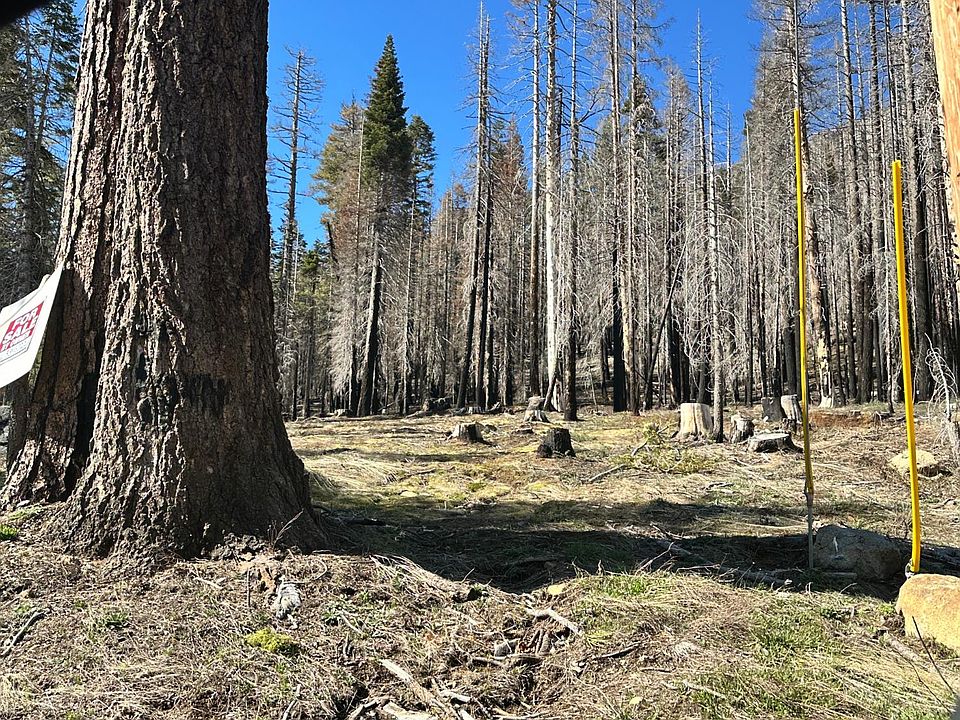 1st image of 7177 Sierra Pines Rd