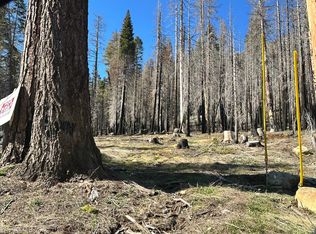 7177 Sierra Pines Rd, Twin Bridges, CA 95735