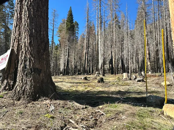 7177 Sierra Pines Rd, Twin Bridges, CA 95735