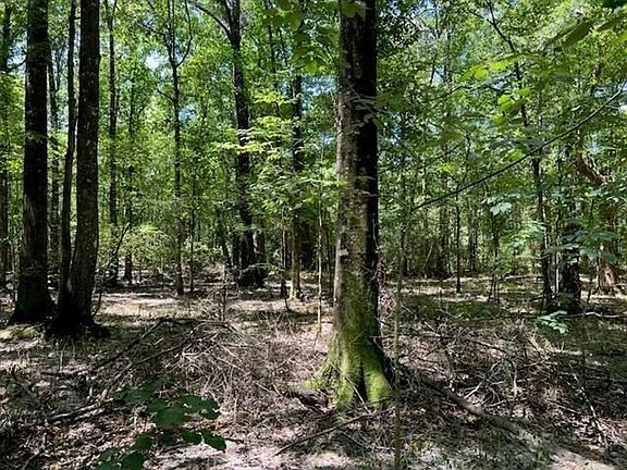 3rd image of 0 Donnie Price Rd