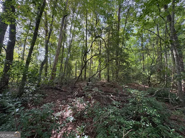 0 Travelers Ln, Clayton, GA 30525