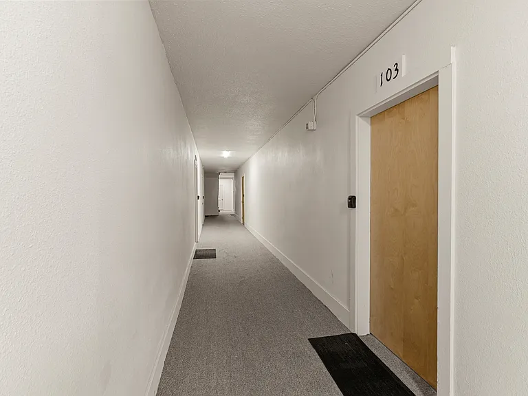 215 E 1st St #103 — Photo 3