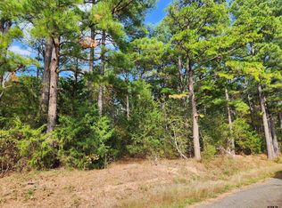 County Road 385, Tyler, TX 75708