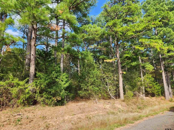 County Road 385, Tyler, TX 75708