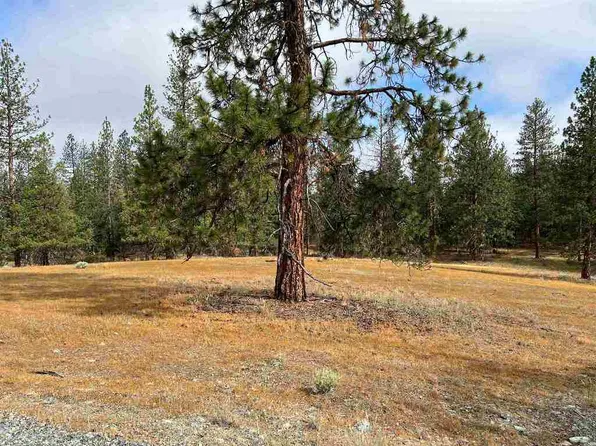 10 Forest Walk, Etna, CA 96027