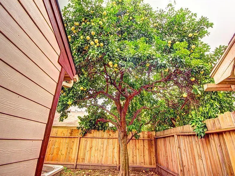 11818 Plumpoint Dr — Photo 10
