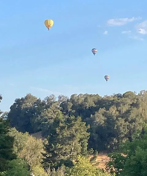 hot air ballons overhead