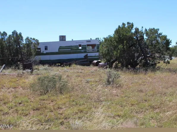 Sec 11 T14N, R16E, Nw4 Se4 Ne4 -- #201-41-024C, Heber, AZ 85928