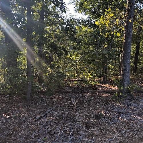 1st image of Northampton Dr