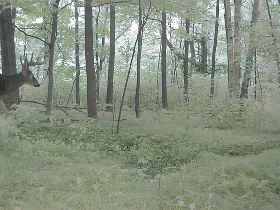 2nd image of 00 26 1/2 Avenue