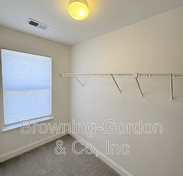 1057 Woodbury Falls Dr — Photo 19