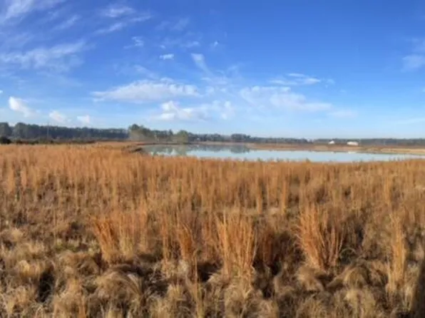 765 Percy Ln, Ridgeville, SC 29472