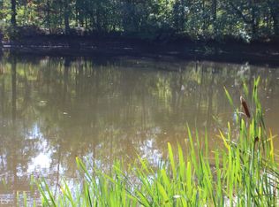 0 Beech Creek Rd, Tallapoosa, GA 30176