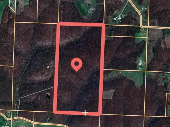 Beamon Hollow Rd, Goodman, MO 64843
