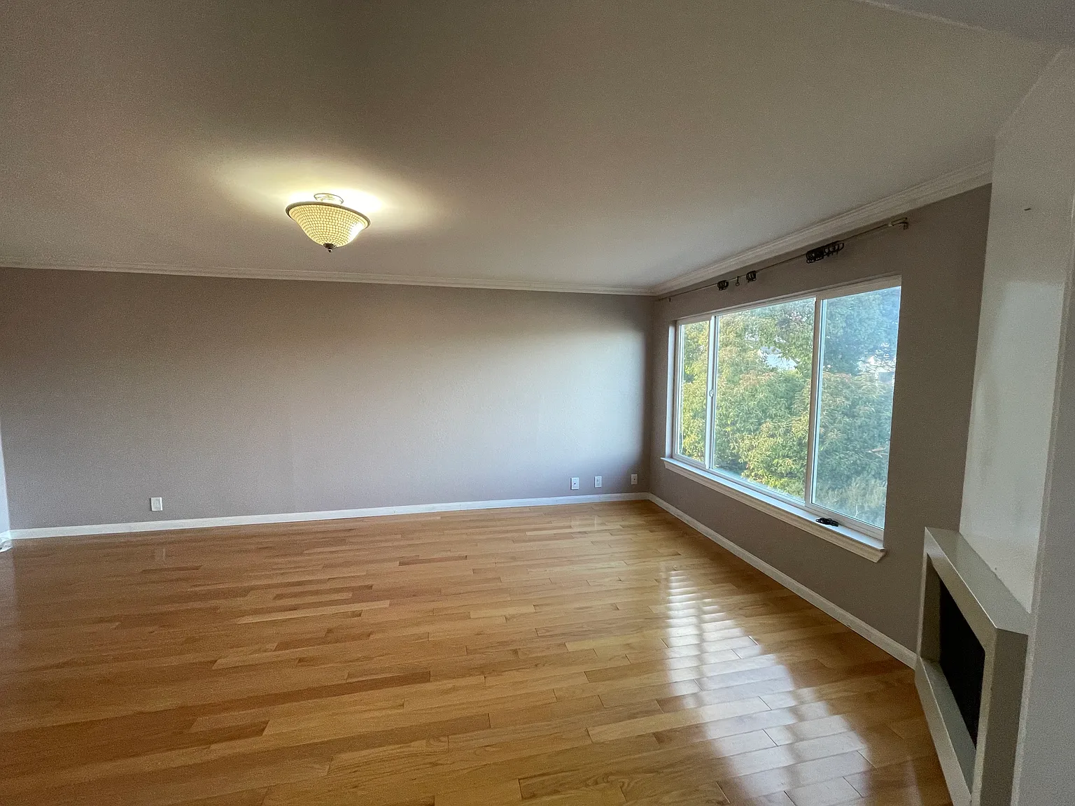 2 bed, 1000 sqft, $6,500 — Photo 4