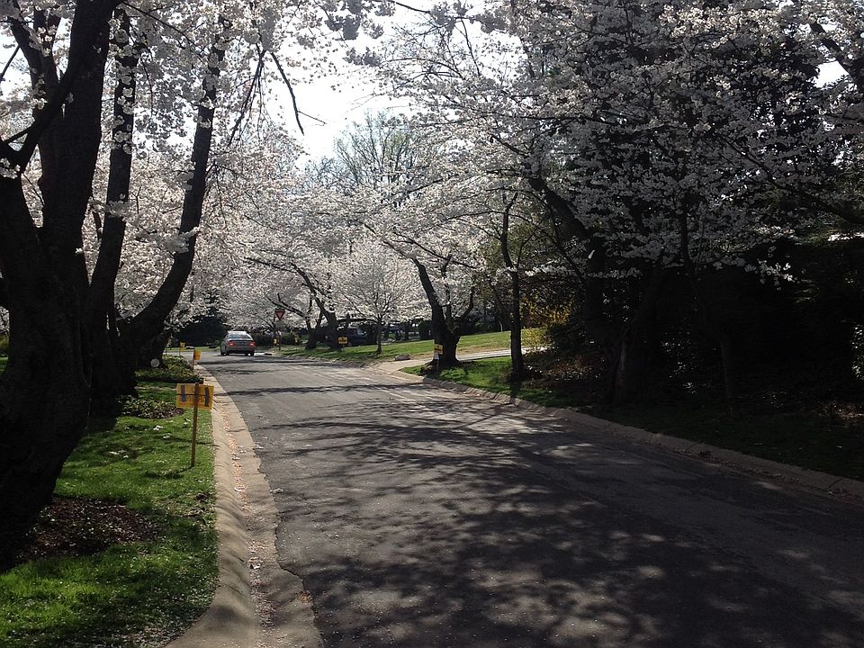 2nd image of 5214 Parkway Dr