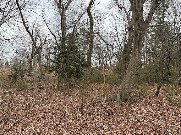 2nd image of 15 Rettig Ln