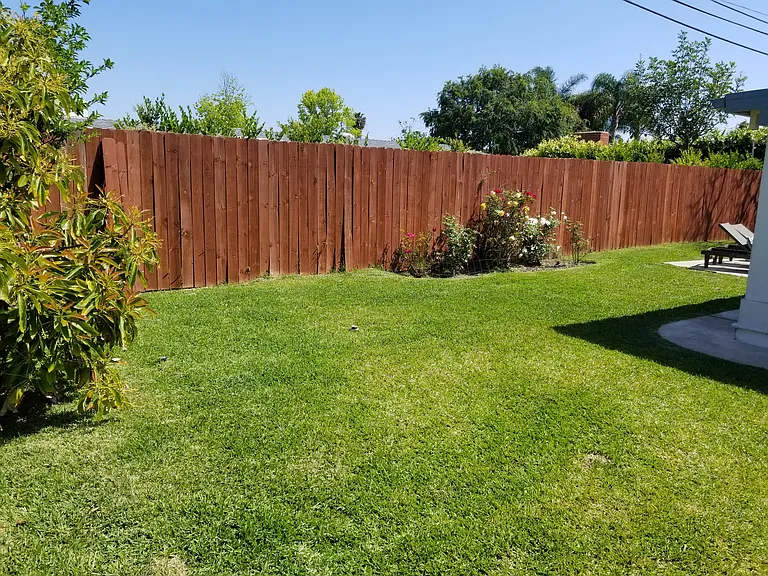Large backyard grass play area